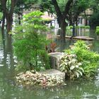 Bonsai Island