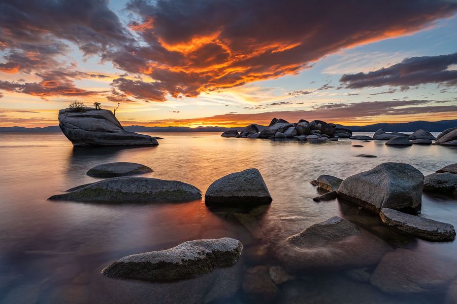 Bonsai Rock
