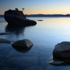 Bonsai rock at Lake Tahoe