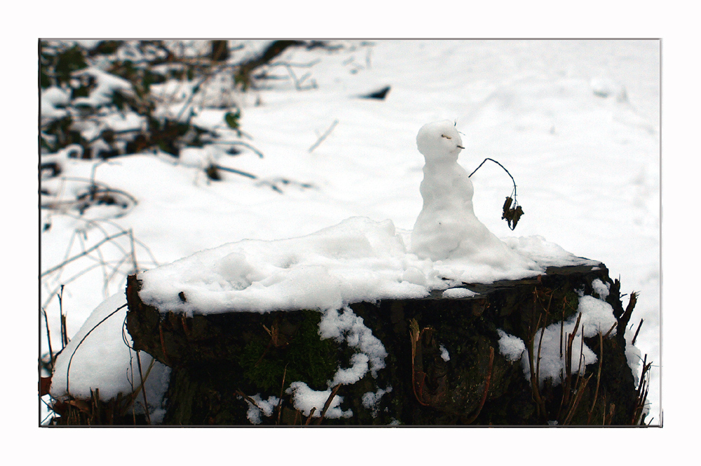 Bonsai-Schneemann