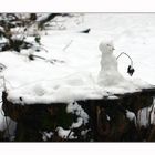 Bonsai-Schneemann