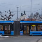 Bonsai-Tram