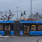 Bonsai-Tram