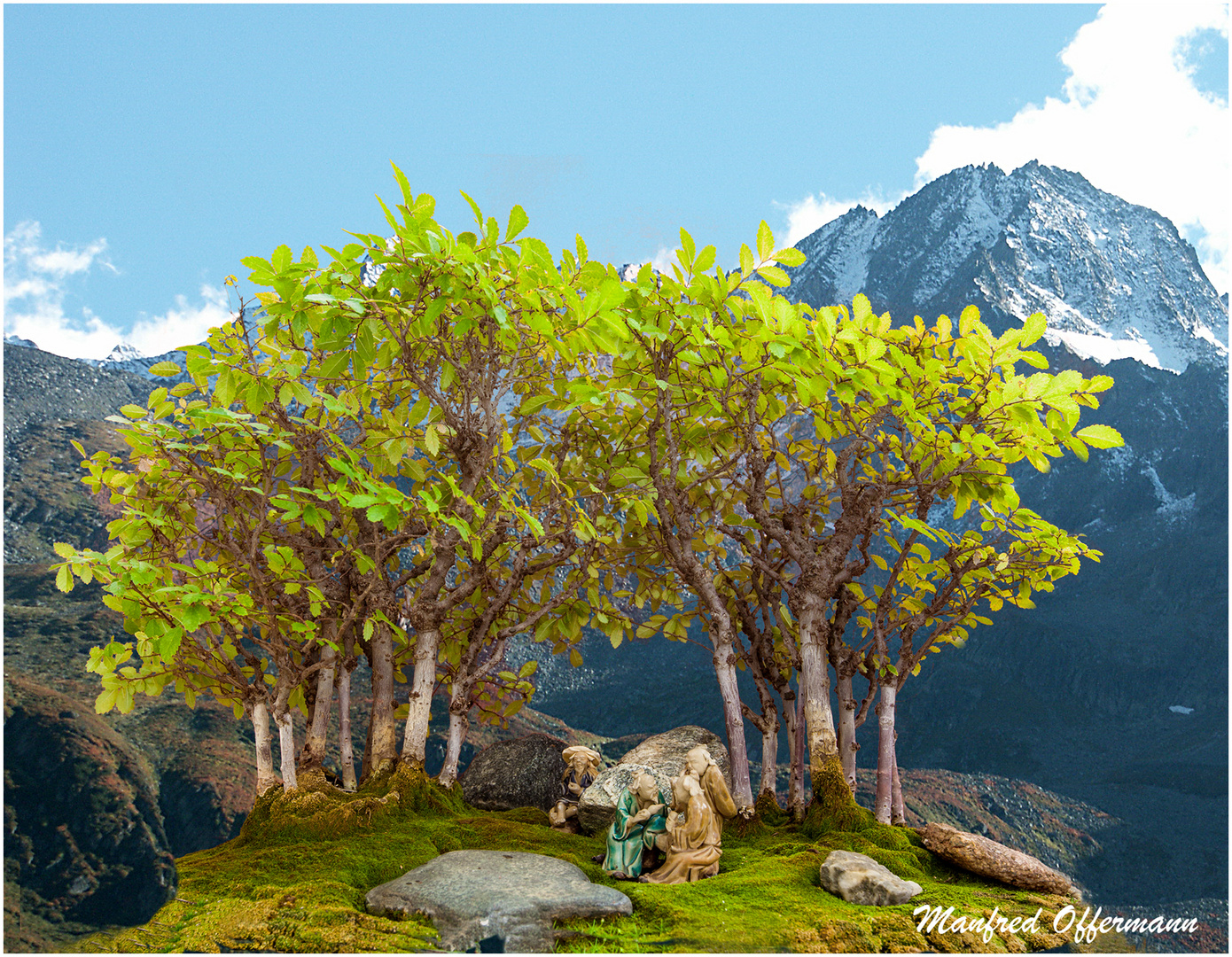 Bonsai Wald in Tirol Foto Bild fotomontage Bonsai Wald in Tirol Foto Bild fotomontage