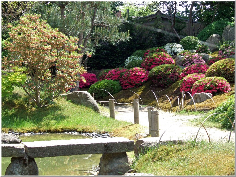Bonsaigarten Ferch Foto Bild Landschaft Garten