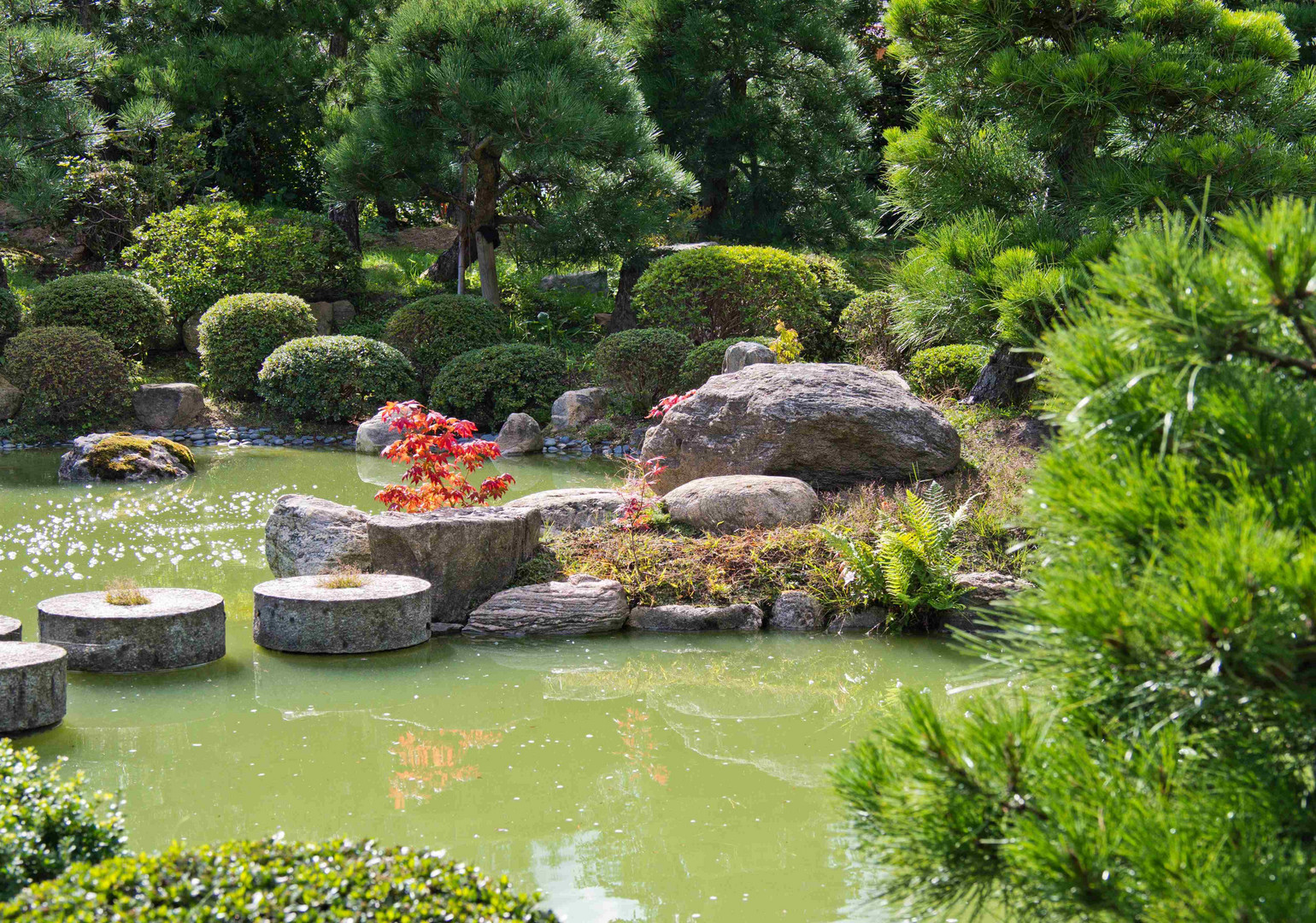 Bonsaigarten Ferch Foto & Bild landschaft, garten