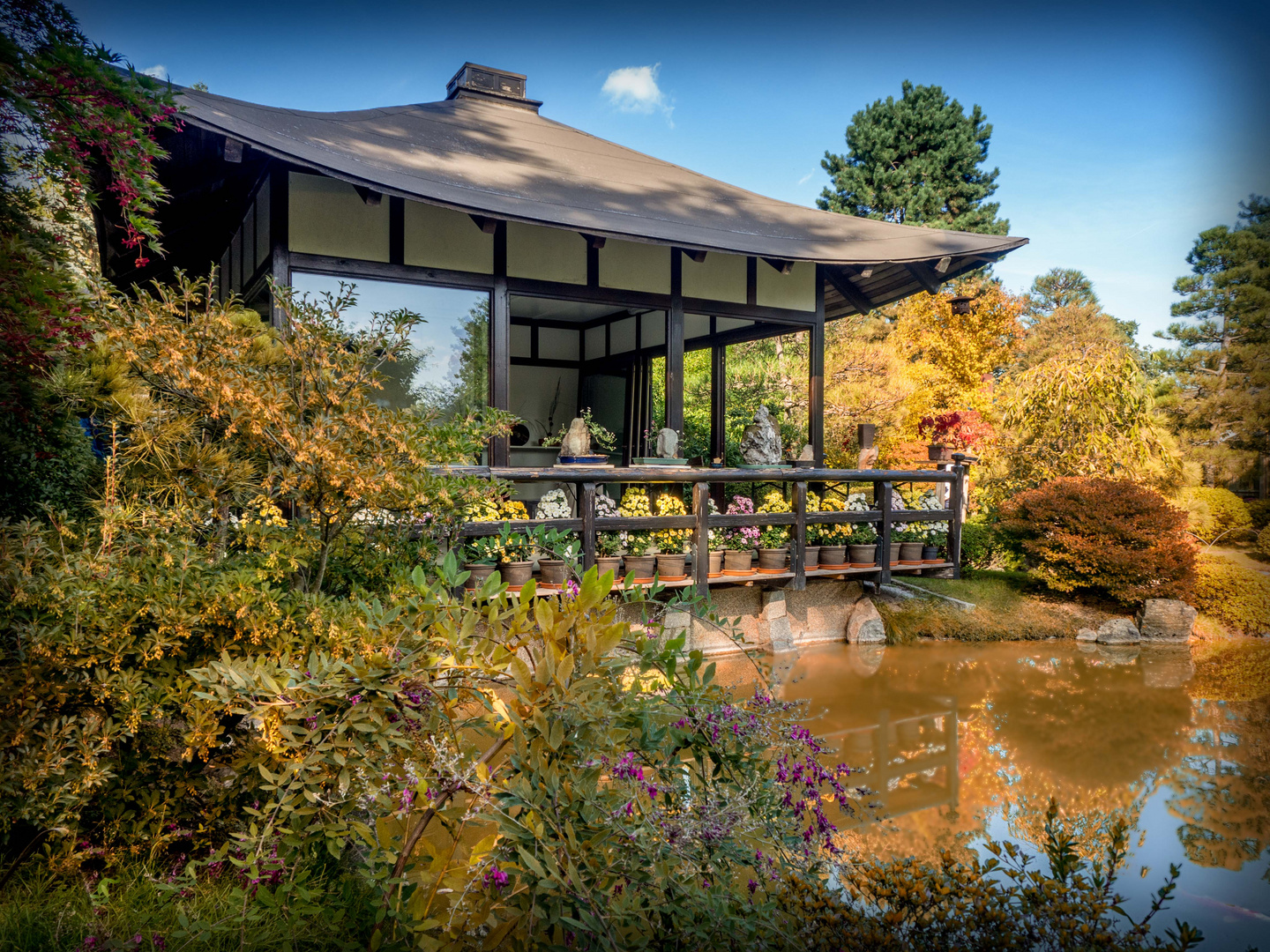 Bonsaigarten Ferch Foto & Bild world, herbst, pflanzen