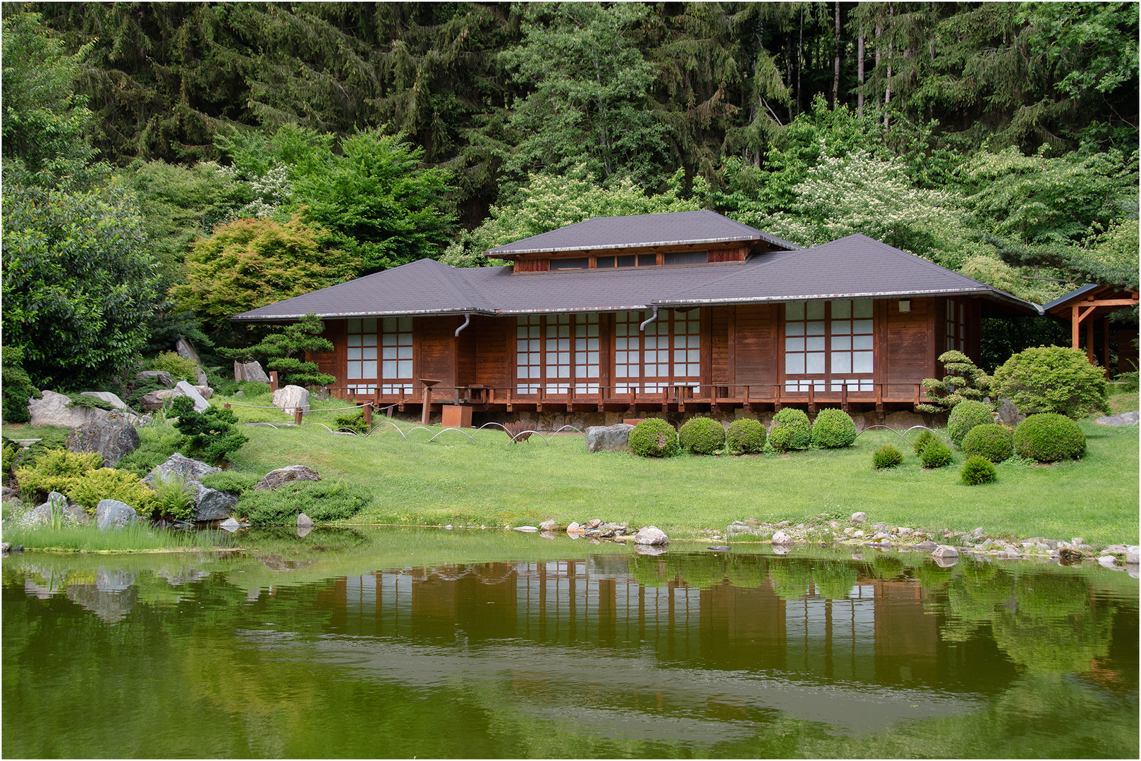 Bonsaimuseum Seeboden. +++ Millstättersee