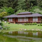 Bonsaimuseum Seeboden. +++ Millstättersee