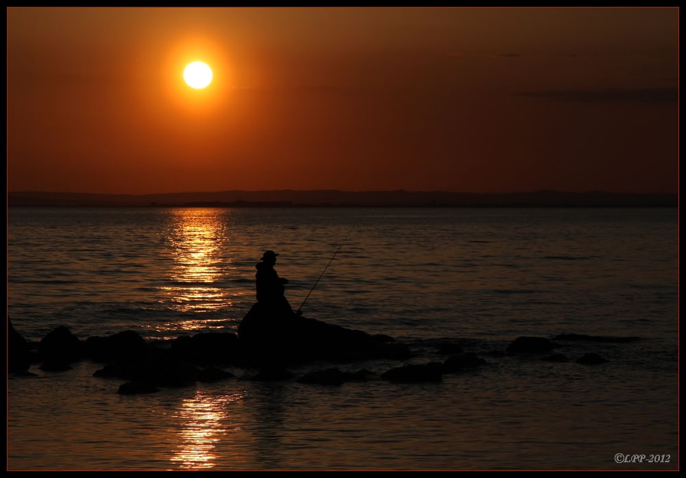 ... bonsoir Camargue ...