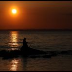 ... bonsoir Camargue ...