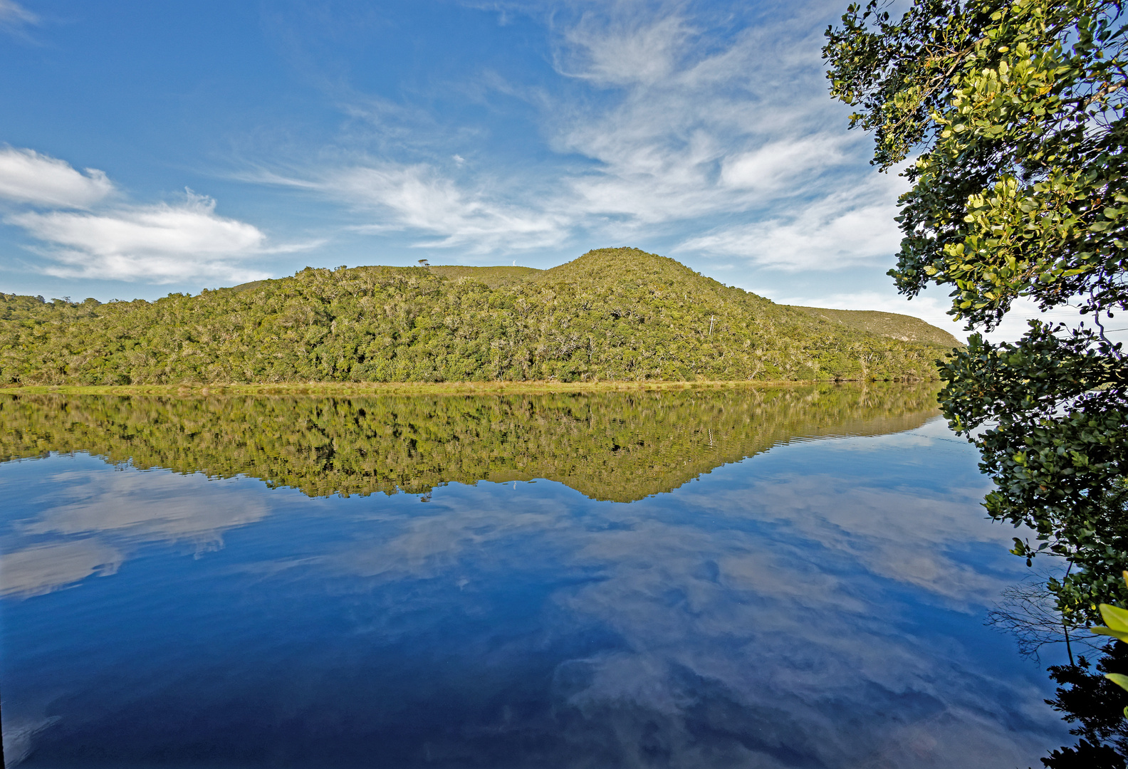 Bontebok Nationalpark