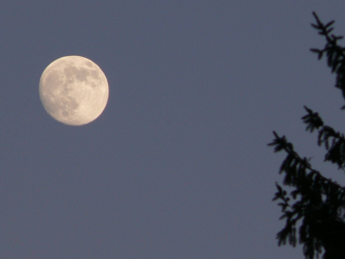 Booh, ist der Mond voll!