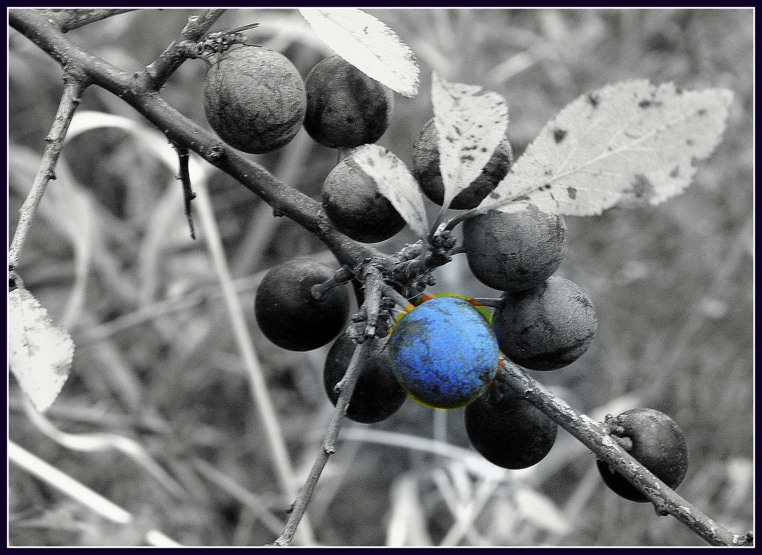 "Boohaaaaa,bin ich heute blau"!