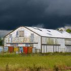 Book Barn Chertsey New Zealand