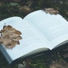 Book in the woods