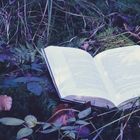 Book in the woods II