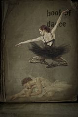 book of dance, kapitel V...