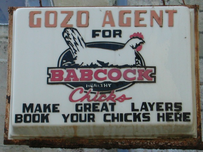 Book your chicks here