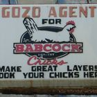 Book your chicks here