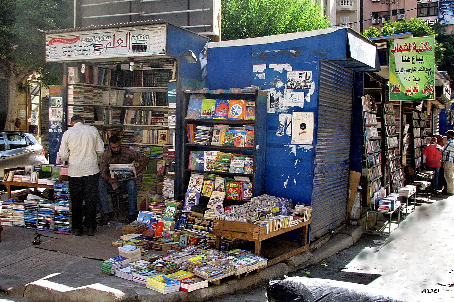 Books - In Alexandria