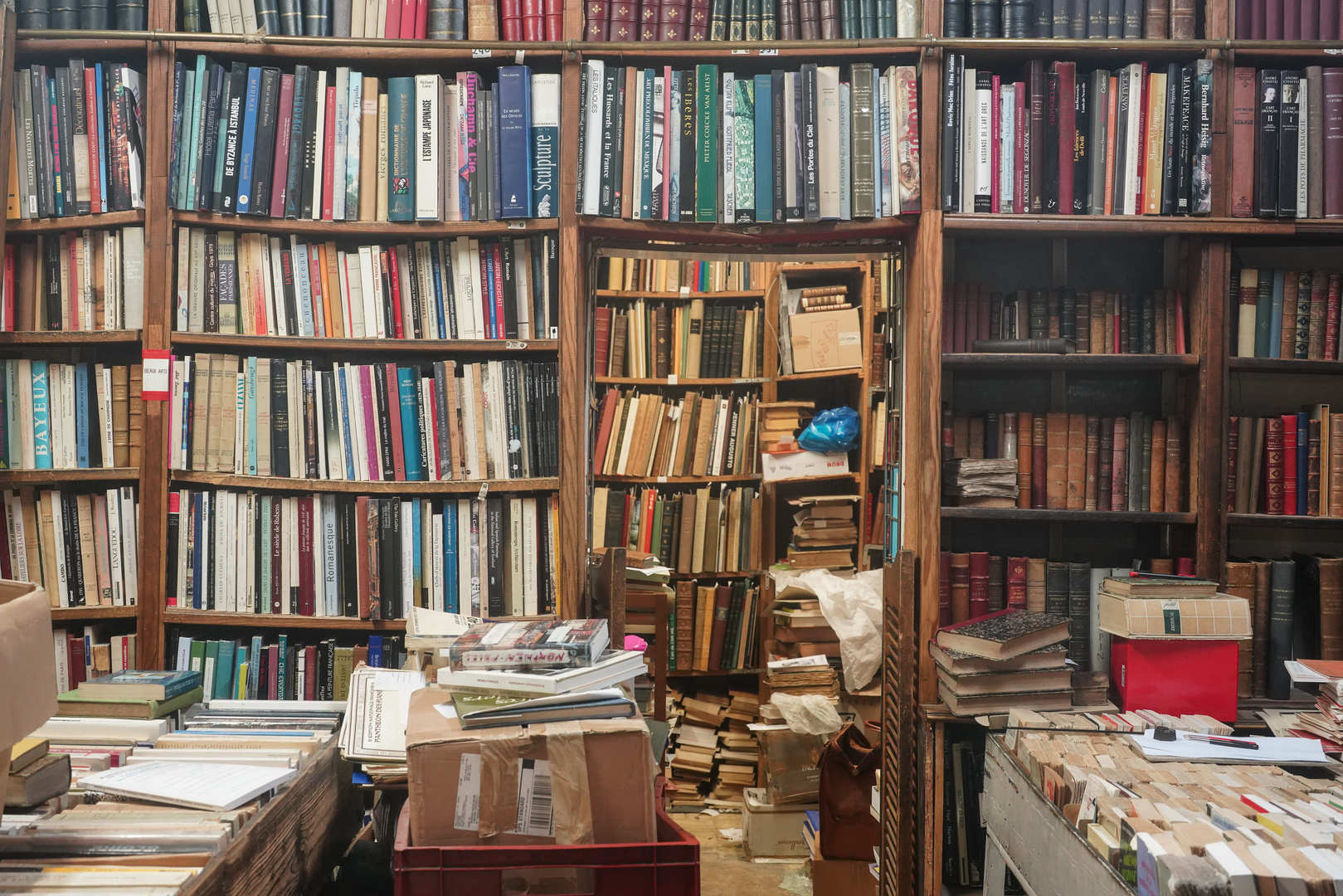 Books in Paris