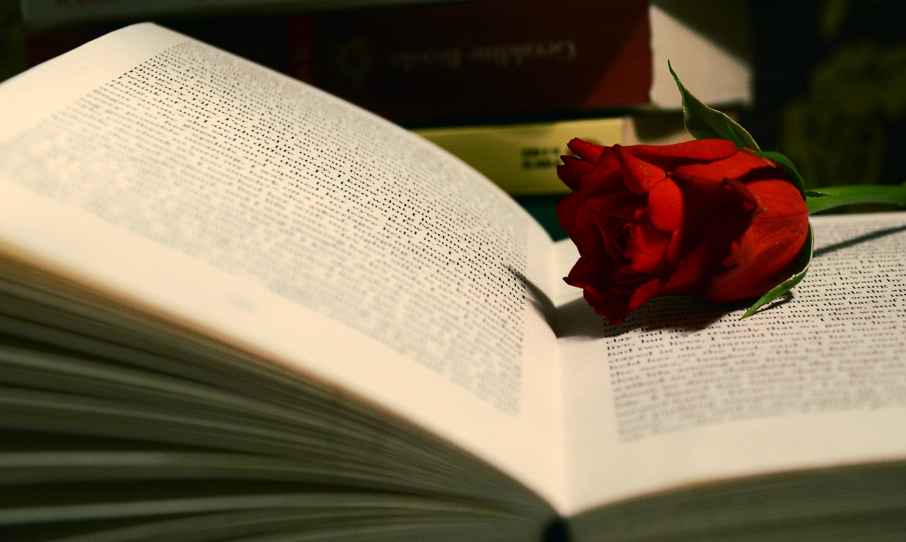 books&roses