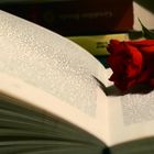 books&roses