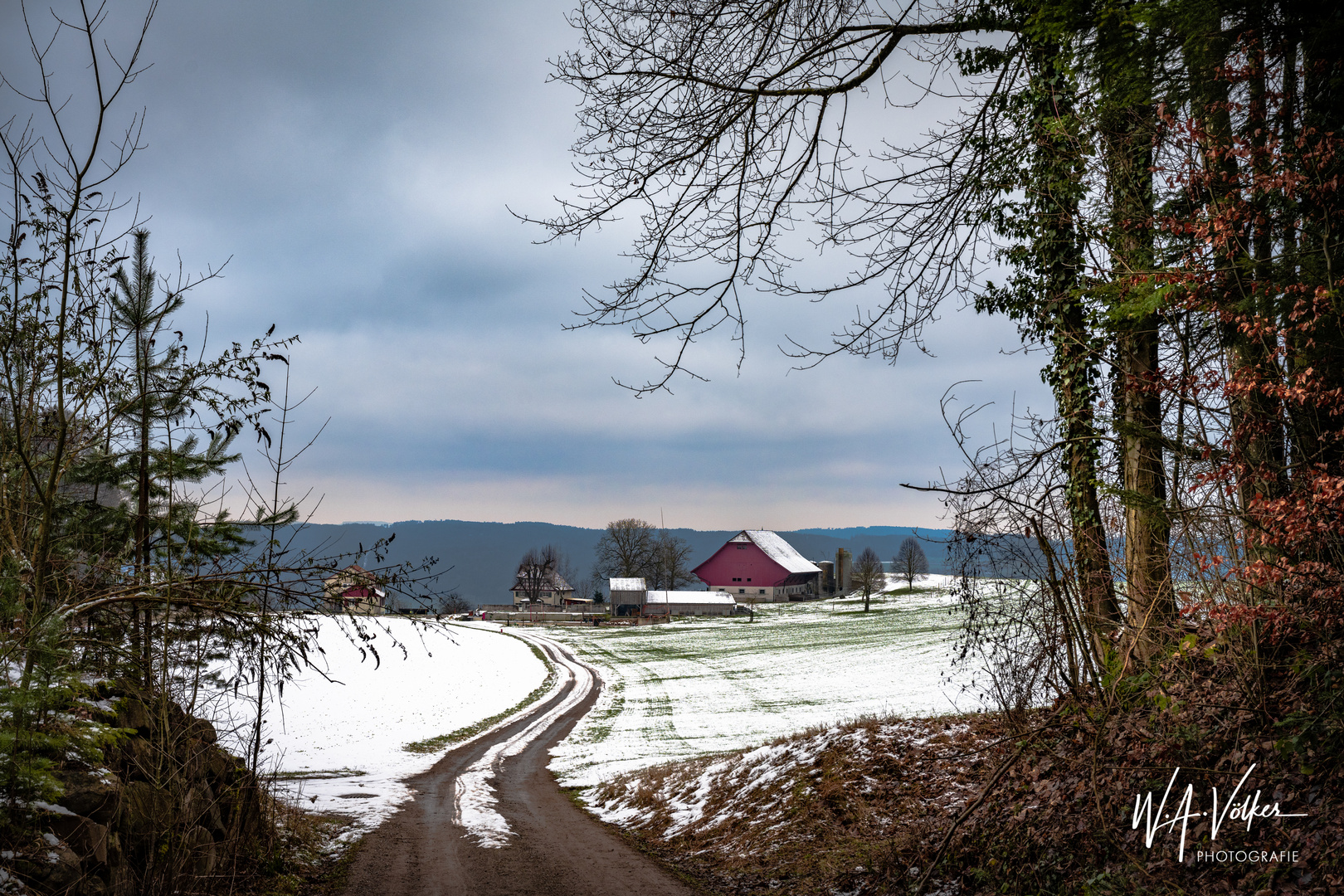 Bool oberhalb von Herdern / TG