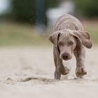 Boon am Strand