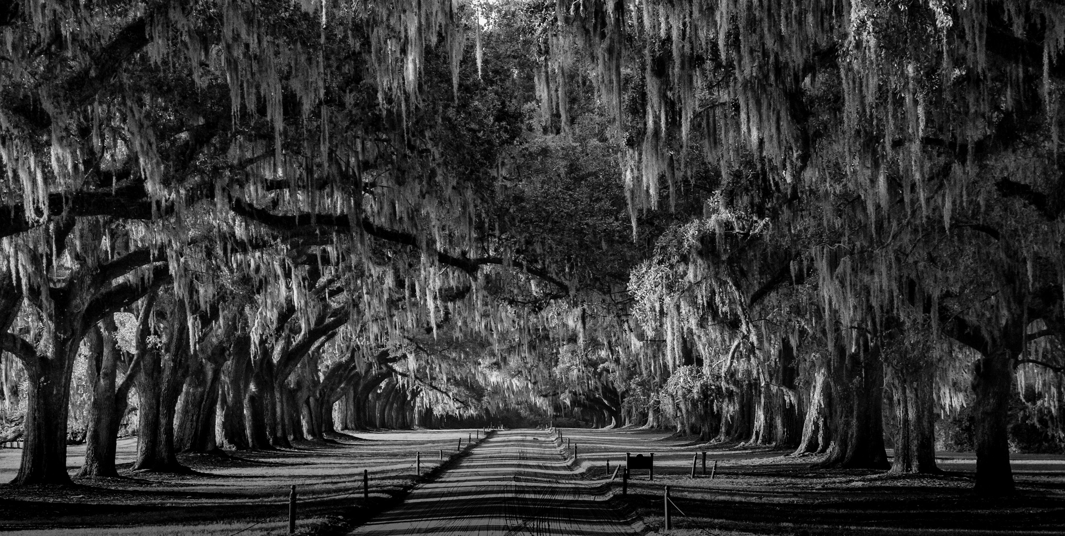 Boon hall plantation