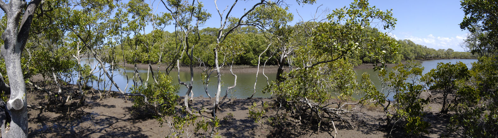 Boondall Wetlands