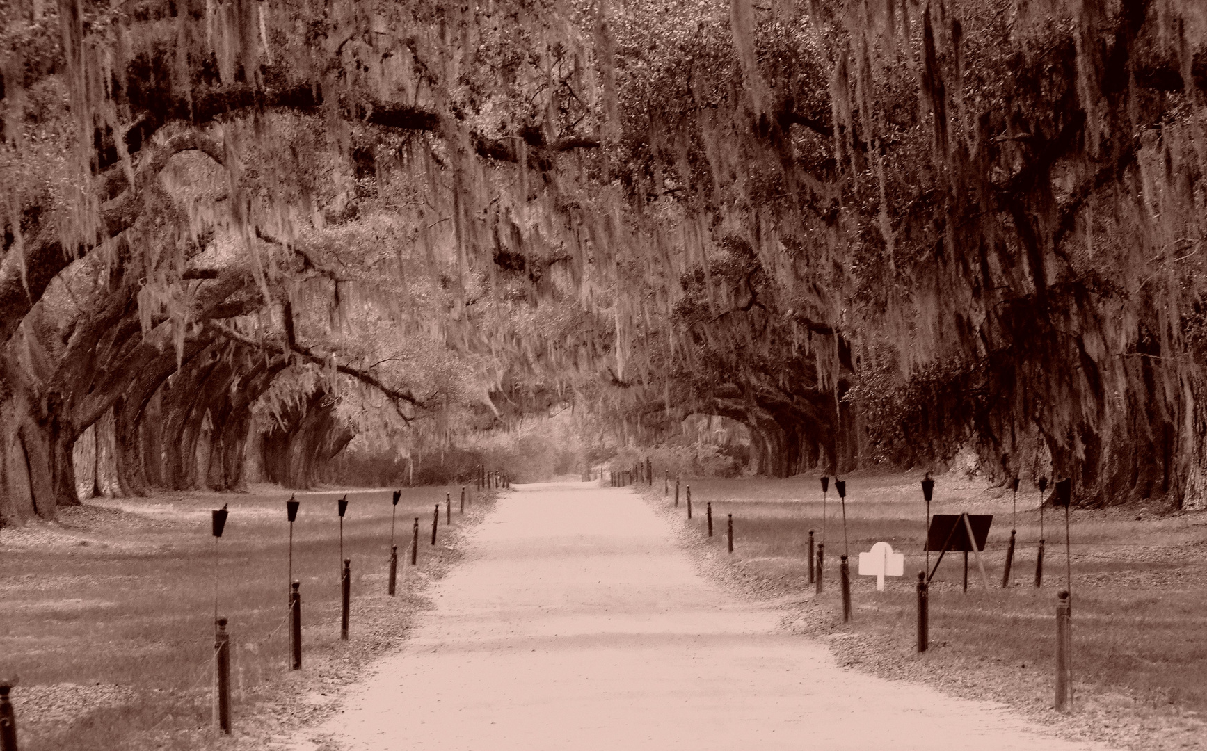 Boone Hall