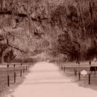 Boone Hall