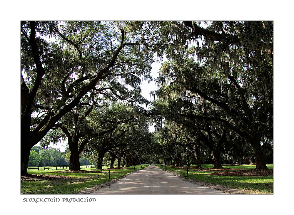 Boone Hall Plantation