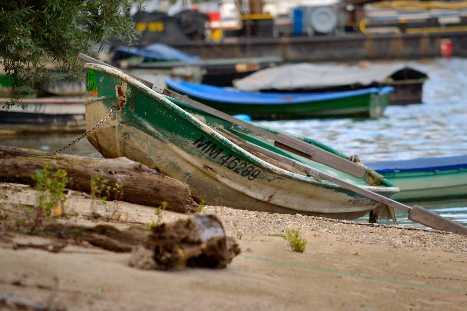 Boot am Altrhein