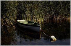 Boot am Balaton 2