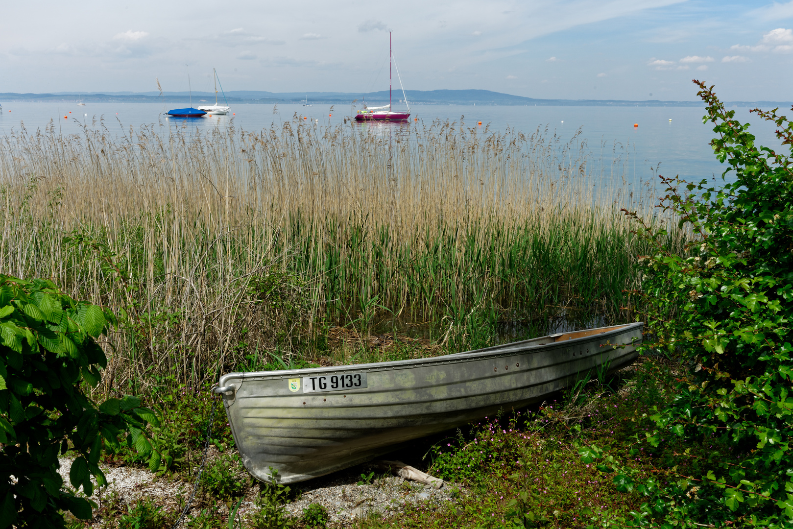 Boot am Bodensee