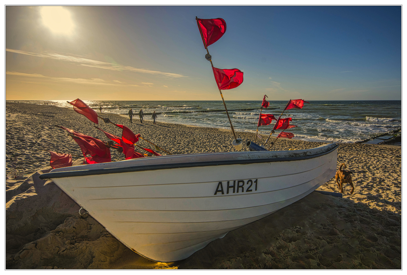 Boot am Hundestrand