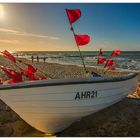 Boot am Hundestrand