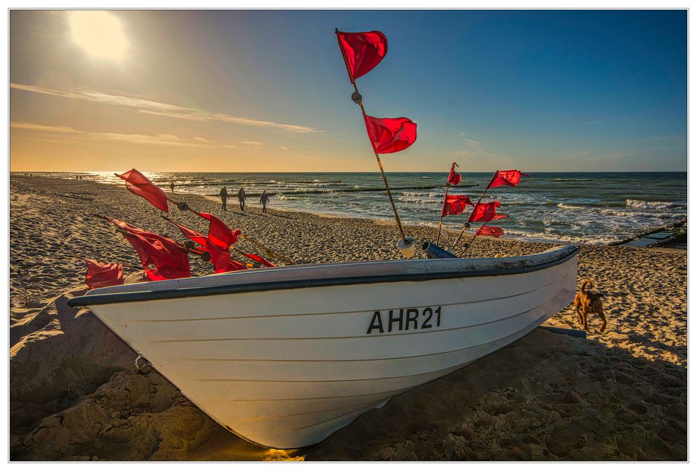 Boot am Hundestrand