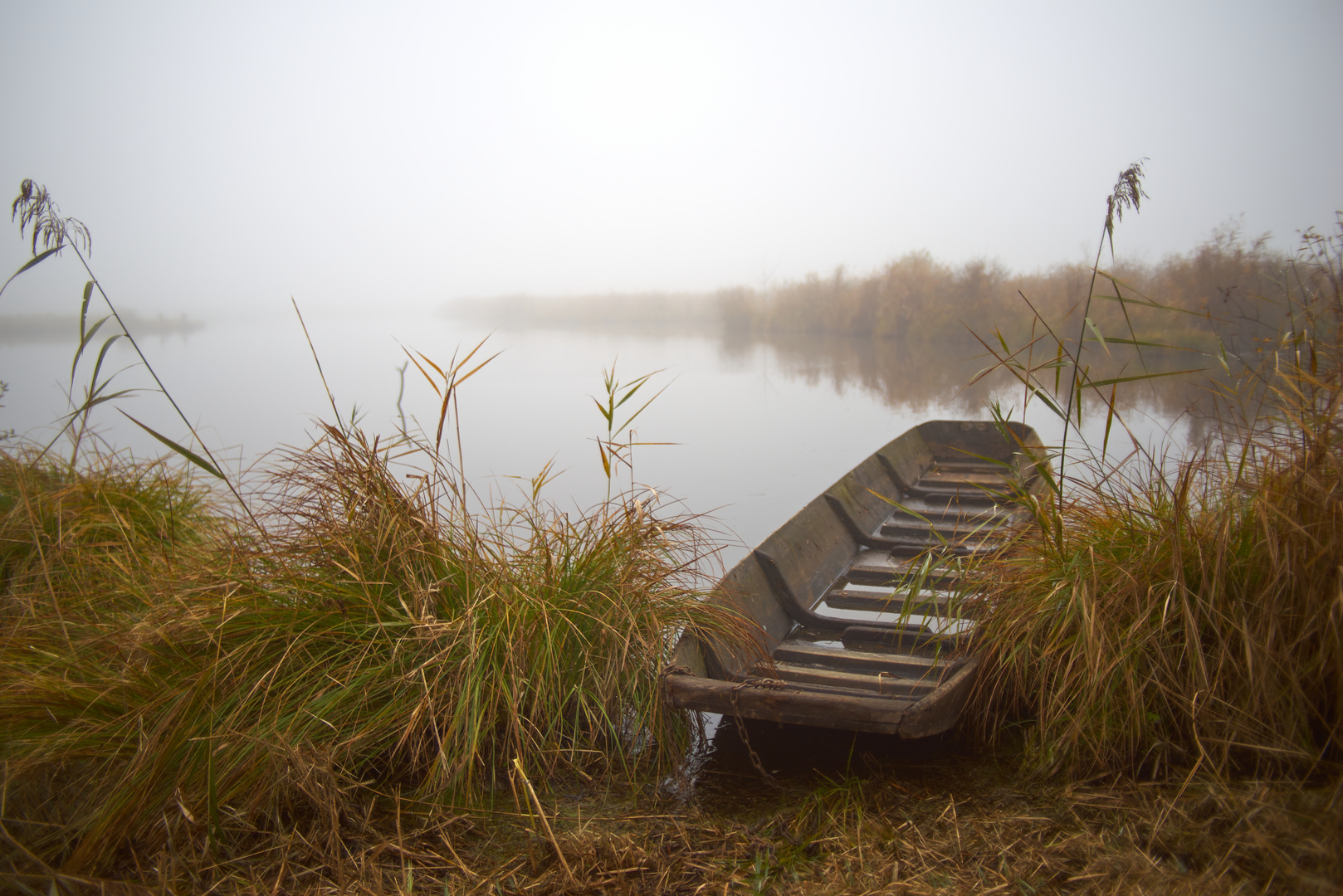 Boot am Moor