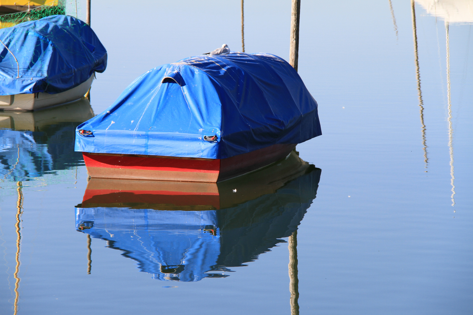 Boot am Pfäffikersee