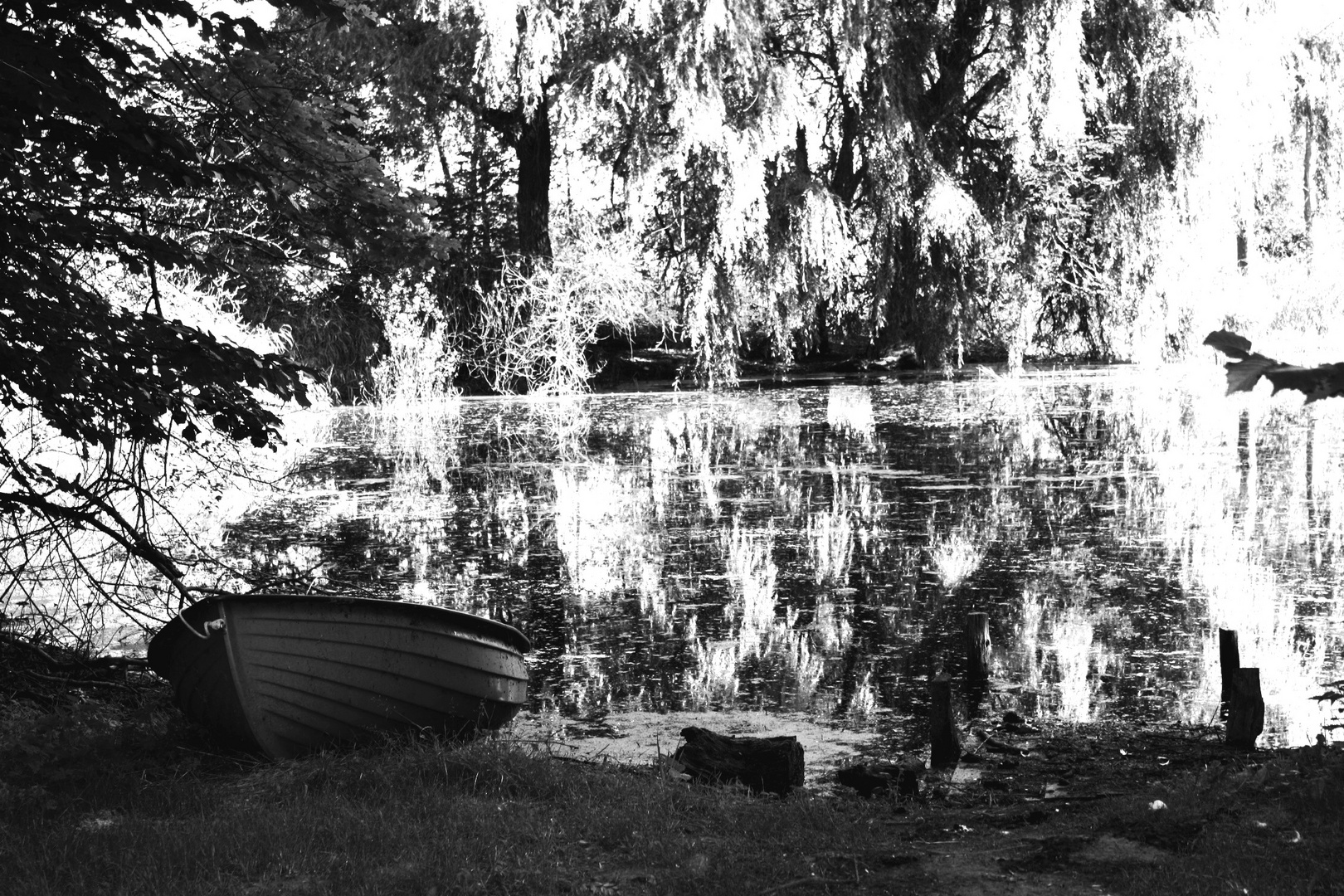 Boot am See