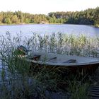 Boot am See