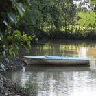 Boot am See