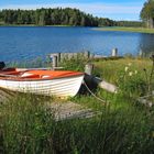 Boot am See