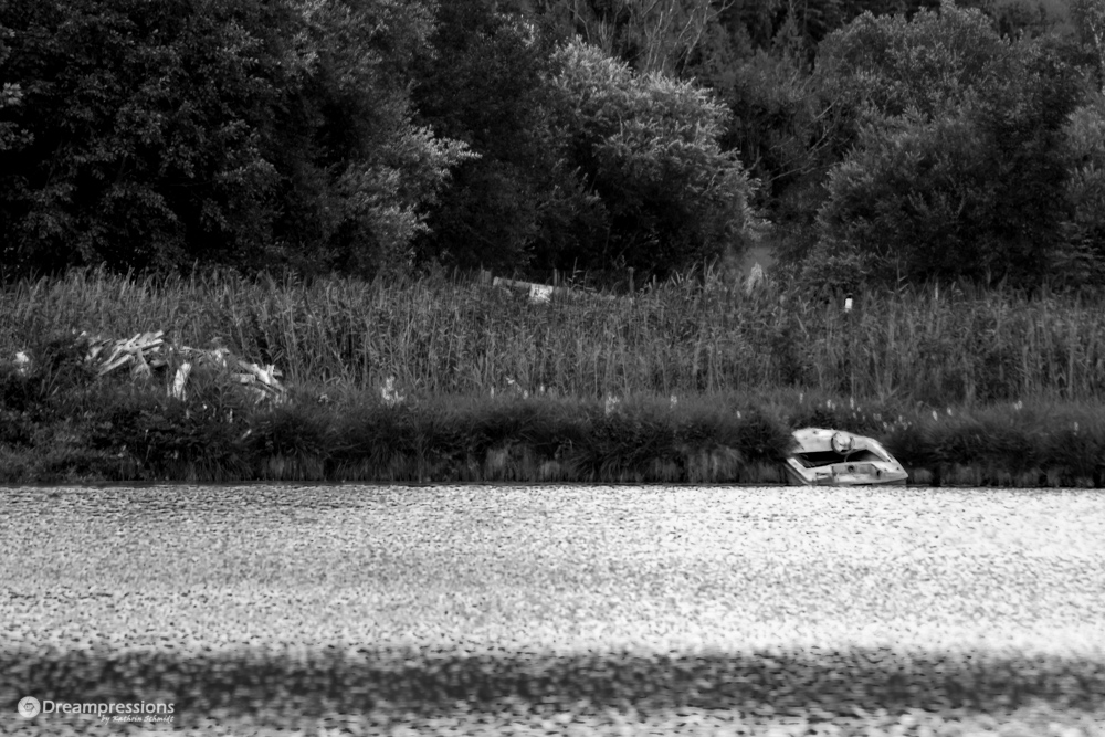 Boot am See