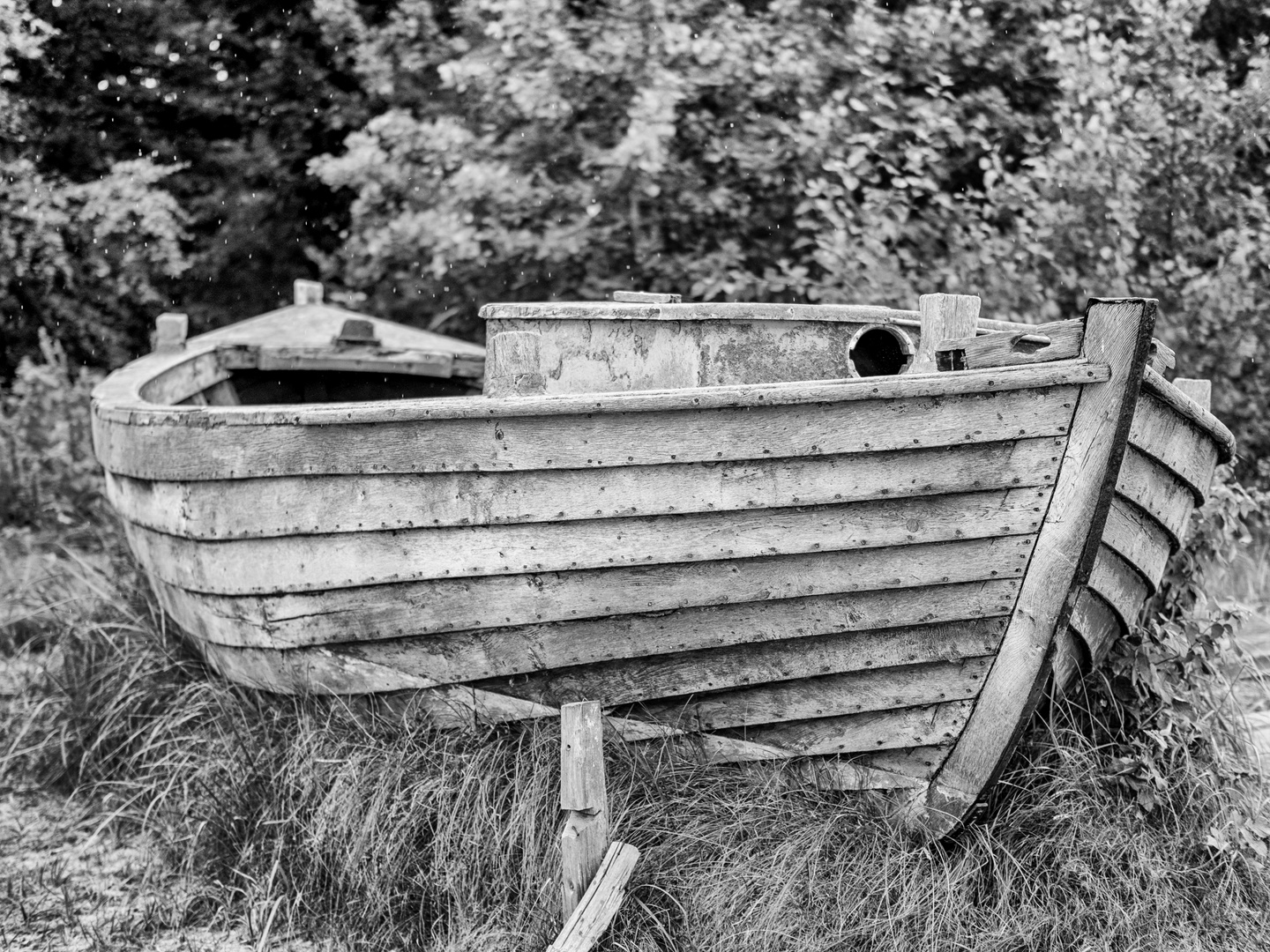 Boot am Strand Zingst SW