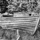 Boot am Strand Zingst SW